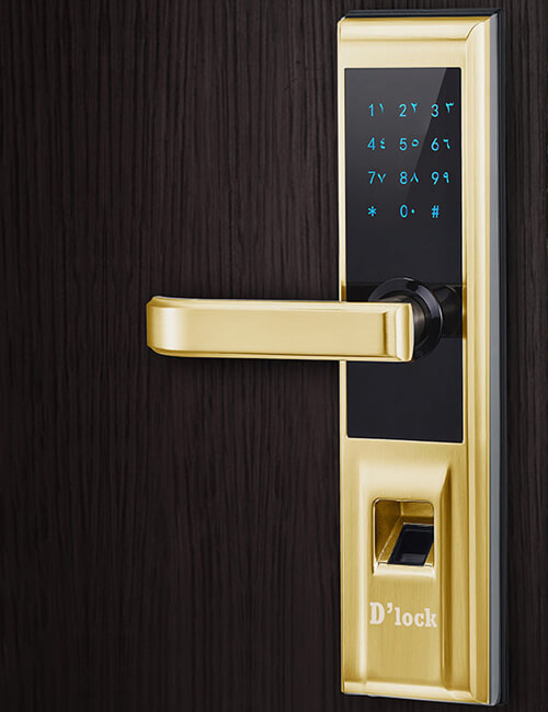 Access Control Door Lock Dubai